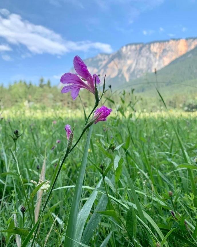Ferienhaus Auszeit Natur Villach Eksteriør billede
